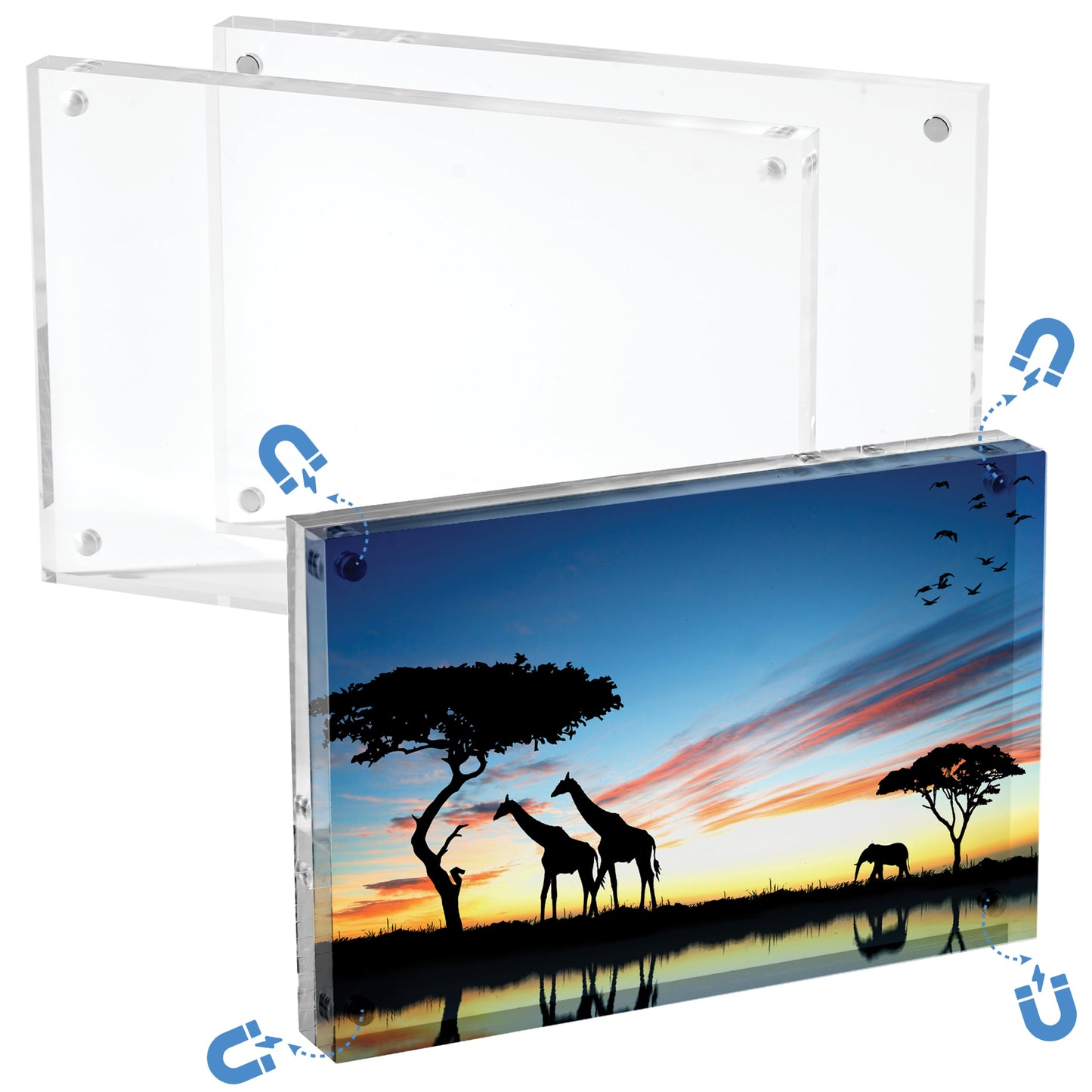4"x6" Double-Sided Acrylic Magnetic Picture Frame