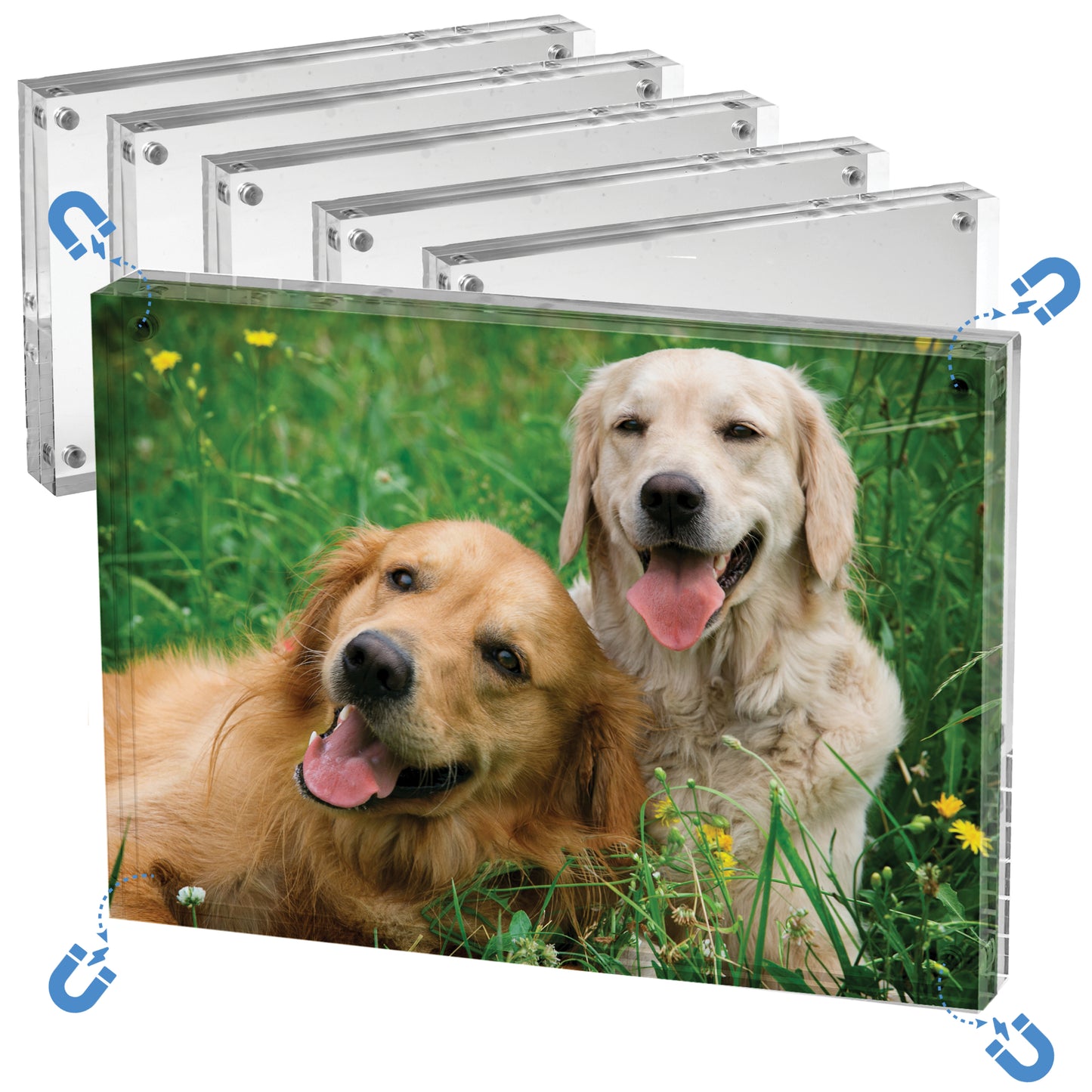 Double-Sided 5"x7" Magnetic Picture Frame (5 Pack)